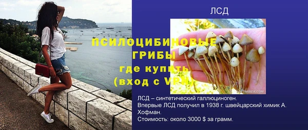 прущие крисы Абаза