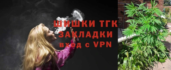 прущие крисы Абаза