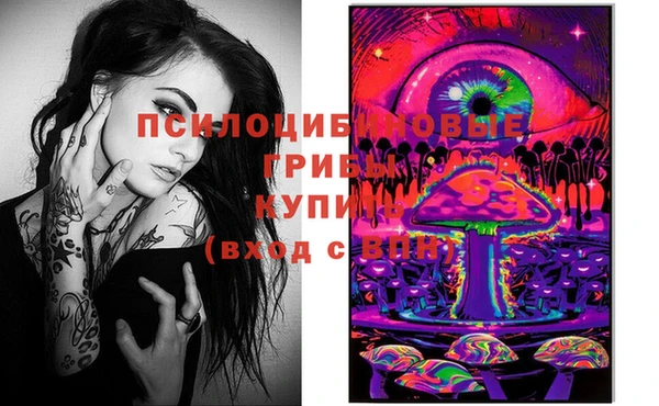 тгк Абинск