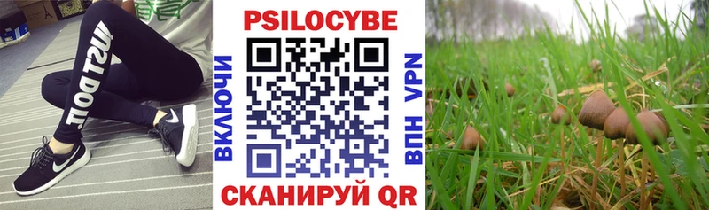 где продают наркотики  blacksprut ТОР  Псилоцибиновые грибы GOLDEN TEACHER  Электросталь 