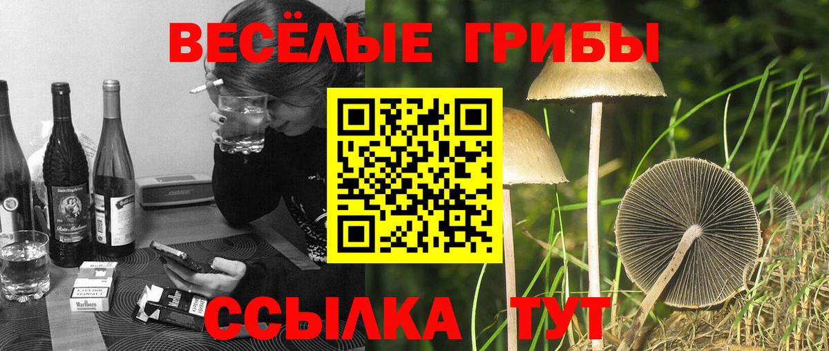Псилоцибиновые грибы мицелий  Галлюциногенные грибы мухоморы  Электросталь  Вход с VPN 