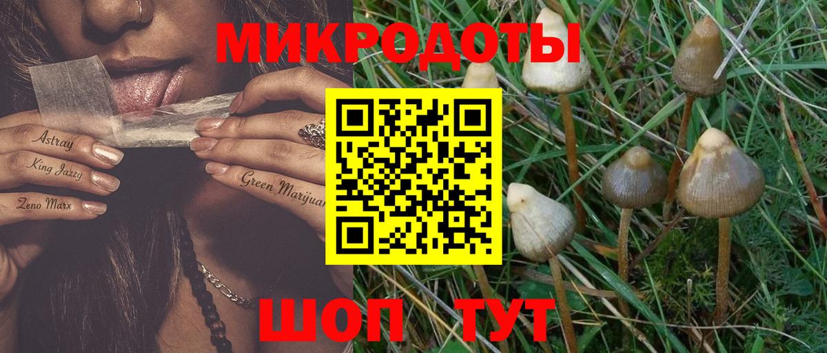 Галлюциногенные грибы мицелий Электросталь
